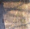 (In Hebrew): "[Here lies] an important and modest woman Deborah Goniadzka daughter of R. David Rozenthal. She died 13th Sivan 5689. May her soul be bound in the bond of everlasting life. (In Polish):Dwerjra Gonidzka 1870-1929." (szpekh@cwu.edu)